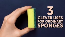 3 GENIUS sponge cheats that will save time and energy l 5-MINUTE CRAFTS