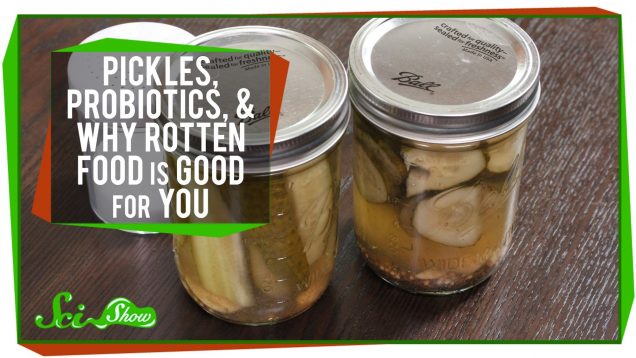 Pickles, Probiotics, and Why Rotten Food Is Good For You