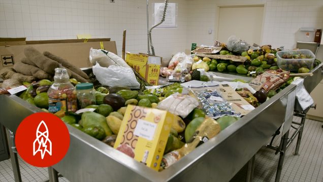 Where Illegal Food Goes to Die