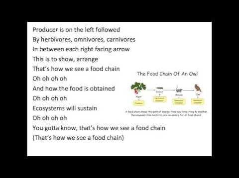 Food Chain Song