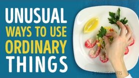 Unusual but AWSOME ideas for ordinary house items l 5-MINUTE CRAFTS