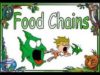 Food Chains ,Food Webs,Energy Pyramid in Ecosystems-Video for Kids
