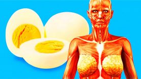 10 ASTONISHING FACTS ABOUT YOUR BODY
