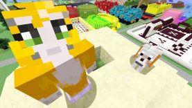 Minecraft Xbox – TV Show [405]