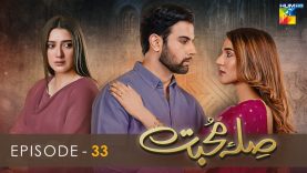 Sila E Mohabbat | Episode 33 | HUM TV Drama | 26 November 2021