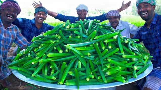 LADY FINGER FRY | Spicy Okra Recipe Cooking with Eggs | Village Style Okra Recipe | Cooking Okra