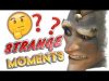 Strange Overwatch Moments.. – Overwatch WTF Highlights and Funny Moments