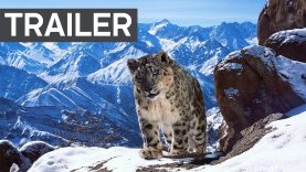 Planet Earth II: Official Extended Trailer – BBC Earth
