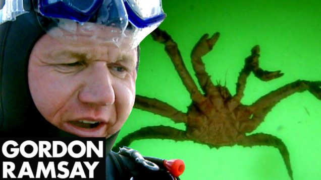 Catching and Cooking King Crab – Gordon Ramsay