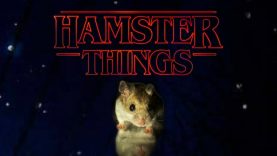 Stranger Things avec des Hamsters