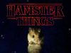 Stranger Things avec des Hamsters
