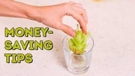 4 money-saving life hacks you should know l 5-MINUTE CRAFTS