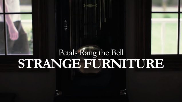 petals-rang-the-bell-strange-furniture-official-music-video.jpg
