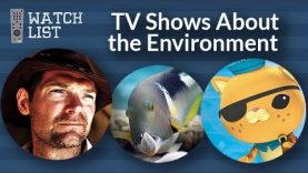 5 Kid-Friendly TV Shows About the Environment