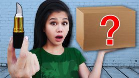 NINJA WEAPONS MYSTERY BOX to Battle PROJECT ZORGO (Gadgets Unboxing Haul Top Secret Clues of Hacker)