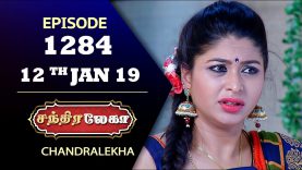 CHANDRALEKHA Serial | Episode 1284 | 12th Jan 2019 | Shwetha | Dhanush | Saregama TVShows Tamil
