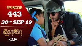 ROJA Serial | Episode 443 | 30th Sep 2019 | Priyanka | SibbuSuryan | SunTV Serial |Saregama TVShows