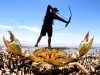 GIANT CRAB – catch and cook – BOW n ARROW. Cooking on a camp fire. EP 83