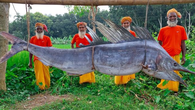 Giant Swordfish Kosha Cooking for Special People – Massive Pakhi Fish Vuna Curry Recipe of Grandpa